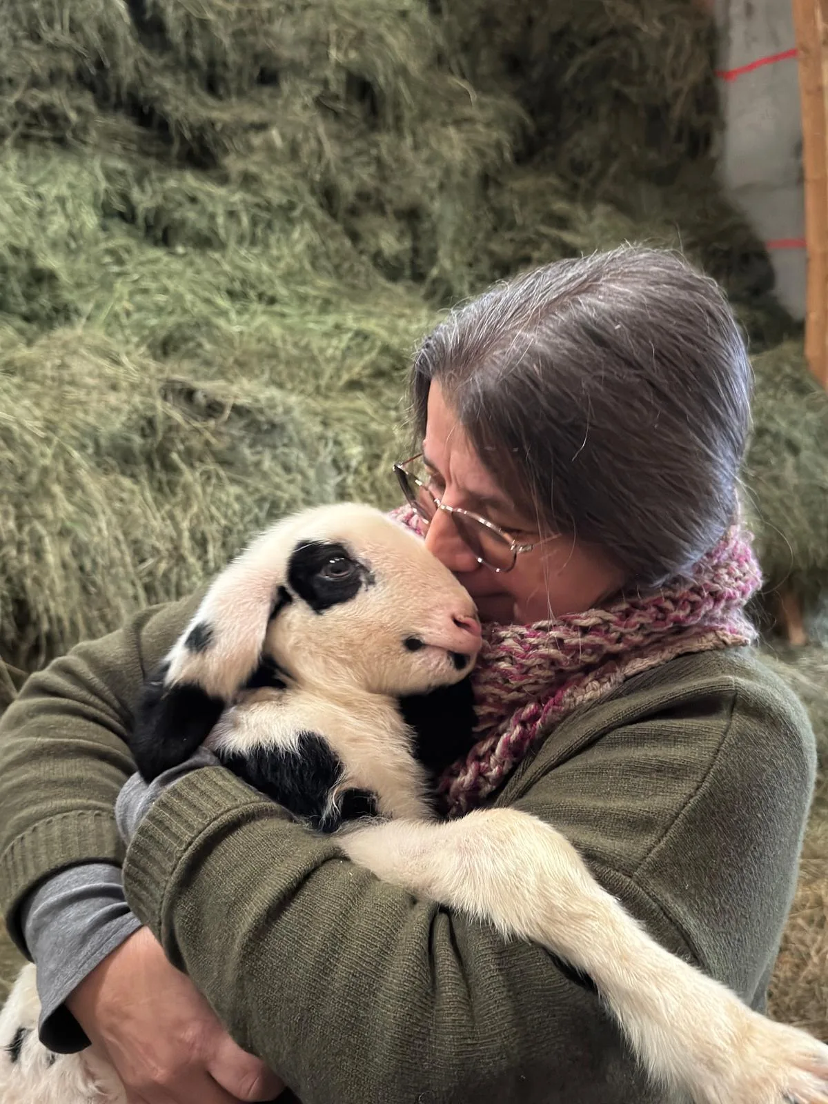 Swiss Woolness Wellness