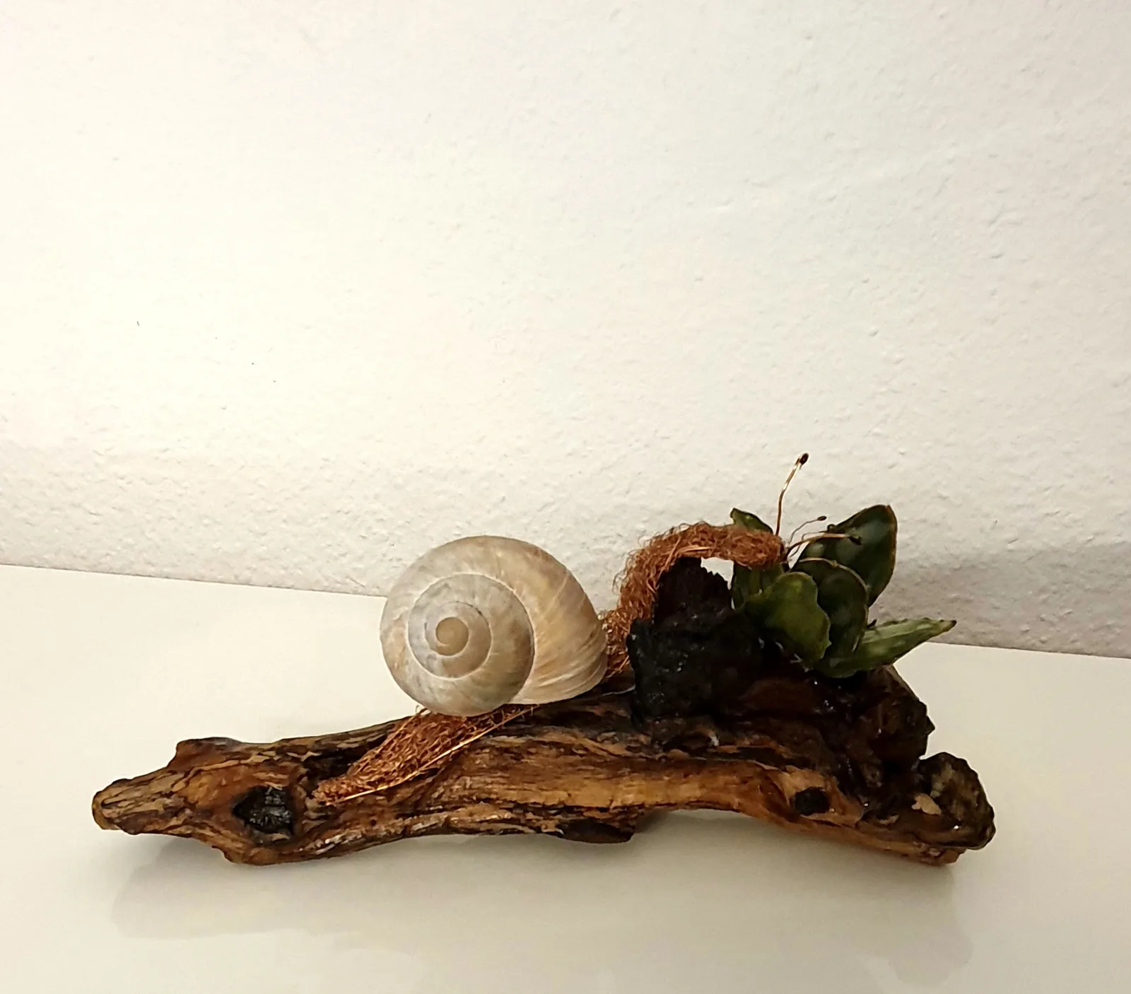 Jo l'escargot